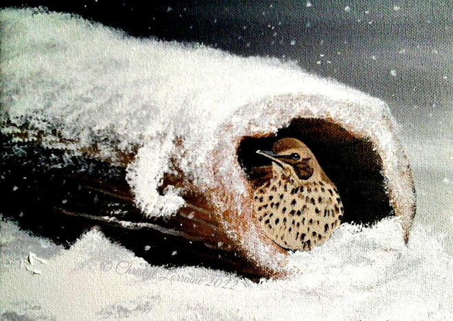 Bird in Snow CL WM